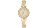 Женские наручные часы Anne Klein 1980TMGB