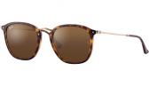 Солнцезащитные очки Ray Ban 2448N 710