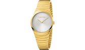 Женские швейцарские наручные часы Calvin Klein K8A23546