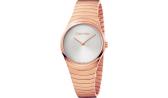 Женские швейцарские наручные часы Calvin Klein K8A23646