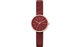 Женские наручные часы Skagen SKW2646