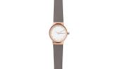 Женские наручные часы Skagen SKW2669