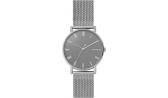 Мужские наручные часы Skagen SKW6428