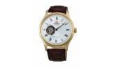 Мужские наручные часы ORIENT - FAG02005W0