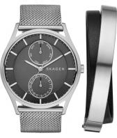 Мужские наручные часы Skagen SKW1073