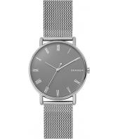 Мужские наручные часы Skagen SKW6428