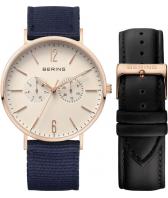 Мужские наручные часы Bering ber-14240-664
