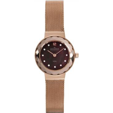 Женские наручные часы Skagen 456SRR1 1 Женские наручные часы Skagen 456SRR1 1