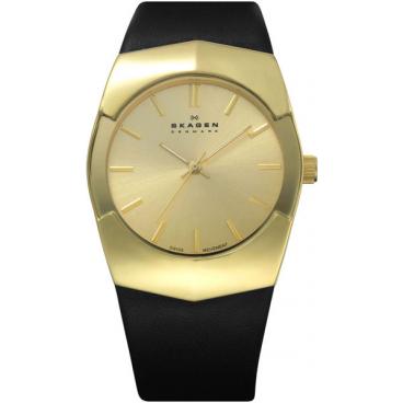 Мужские наручные часы Skagen 580XLGLB 1 Мужские наручные часы Skagen 580XLGLB 1