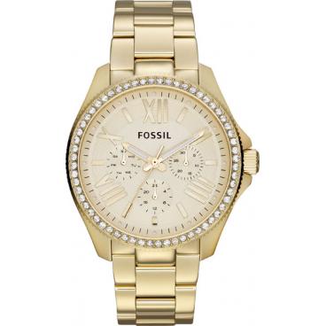 Женские наручные часы Fossil AM4482 1