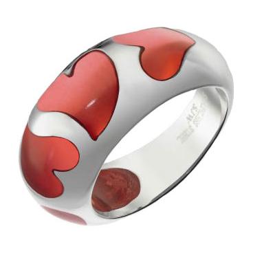 Стальное кольцо SJW RS032 1 Стальное кольцо SJW RS032 1