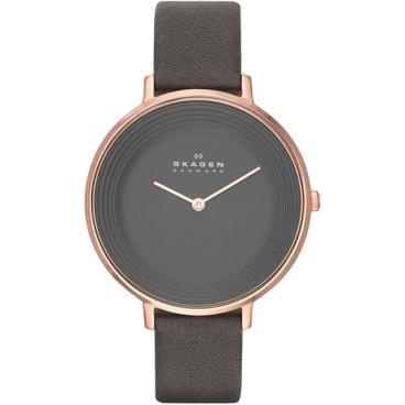 Женские наручные часы Skagen SKW2216 1 Женские наручные часы Skagen SKW2216 1