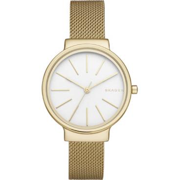 Женские наручные часы Skagen SKW2477 1 Женские наручные часы Skagen SKW2477 1