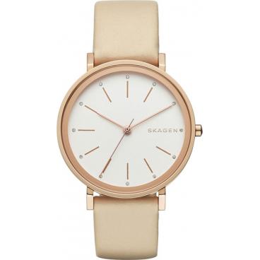 Женские наручные часы Skagen SKW2489 1 Женские наручные часы Skagen SKW2489 1